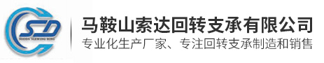 馬鞍山索達回轉(zhuǎn)支承有限公司